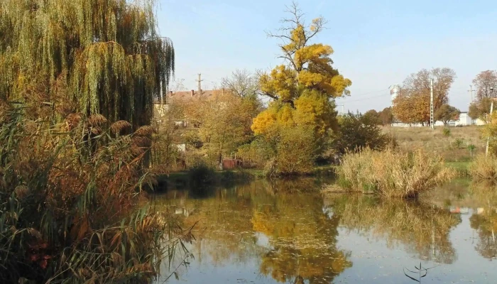 Lacul Verde Sancraiu De Mures -  Videoclipuri - Sâncraiu De Mureș