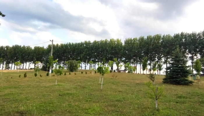 Lacul Vintileasca -  Fotografii - Vintileasca