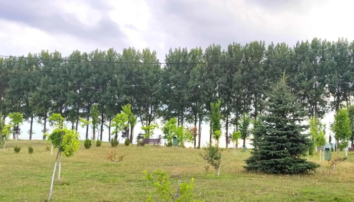 Lacul Vintileasca -  Promoție - Vintileasca