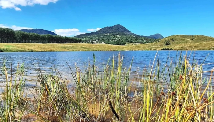 Lacul Vintileasca -  Reduceri - Vintileasca
