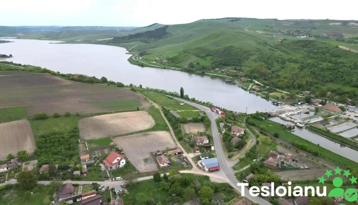 Lacul Zau De Campie -  Cele Mai Recente - Zau De Câmpie