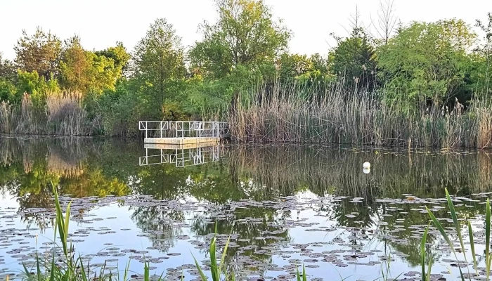 Lagoo Snagov -  Instagram - Comuna Snagov