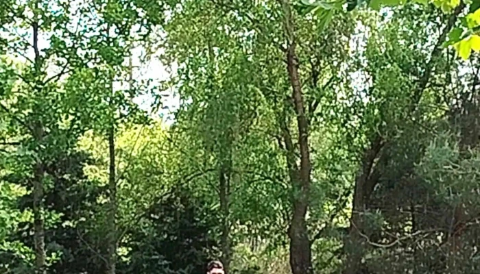 Lagoo Snagov -  Număr - Comuna Snagov