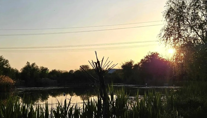 Lagoo Snagov -  Reduceri - Comuna Snagov