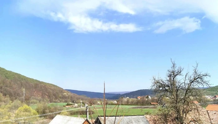 Laleaua -    Casa La Cheie Praid Aproape De Mine - Praid