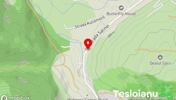 hartă a Laleaua - casă la cheie Praid Cazare în Praid