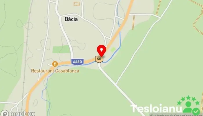hartă a Langoserie Bacia Restaurant fast food în Băcia