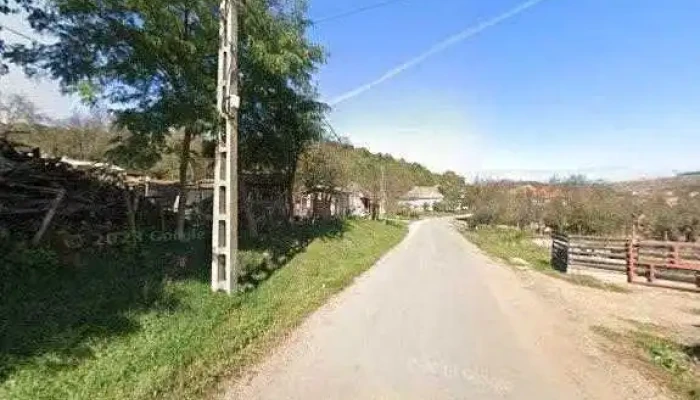 Lapte De Magarita Tritenii Street View Si 360deg - Cluj