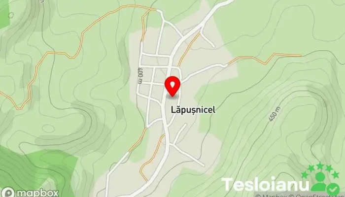 hartă a Lăpușnicel  în Lăpușnicel