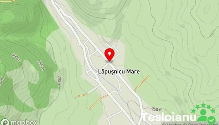 hartă a Lăpușnicu Mare  în Lăpușnicu Mare