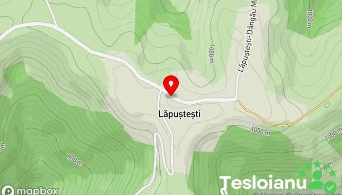 hartă a Lăpuşteşti  în Lăpuşteşti