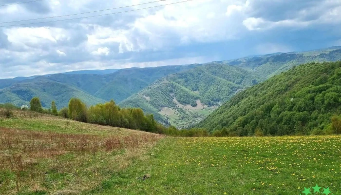 Lapustesti Promoție - Lăpuşteşti