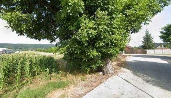 Lavmi Perla Srl -  Street View Si 360deg - Dârmănești