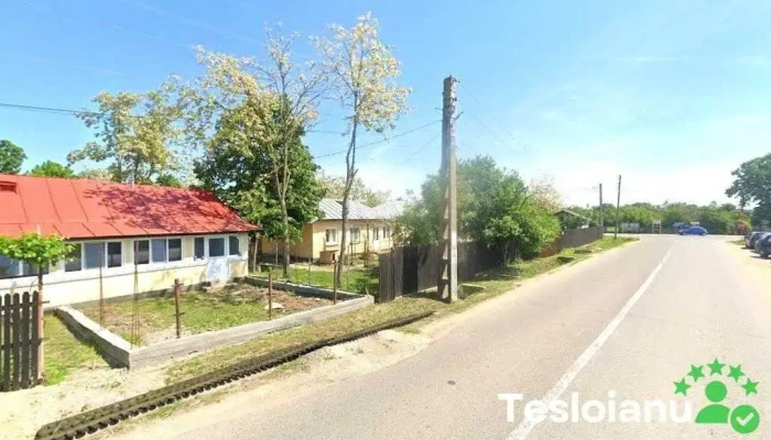 Laz .srl - România
