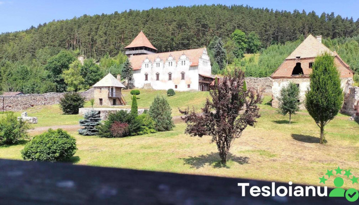 Lazarea Recenzii - Lăzarea
