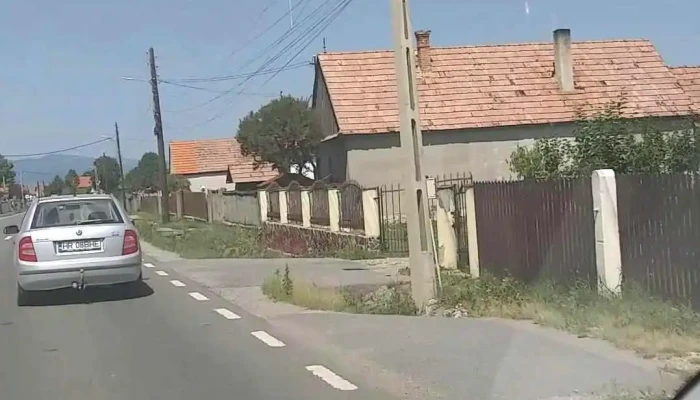 Lazarea Videoclipuri - Lăzarea