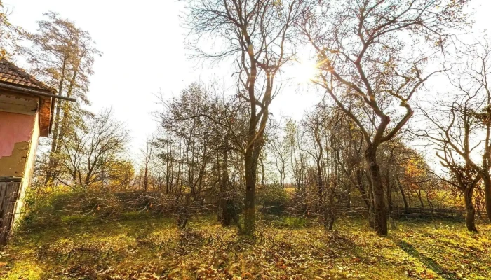 Lemnia -  Street View Si 360deg - Lemnia
