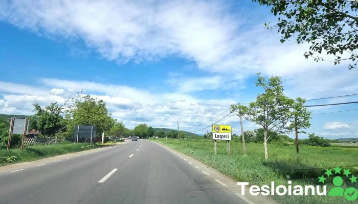 Lespezi -  Promoție - Lespezi