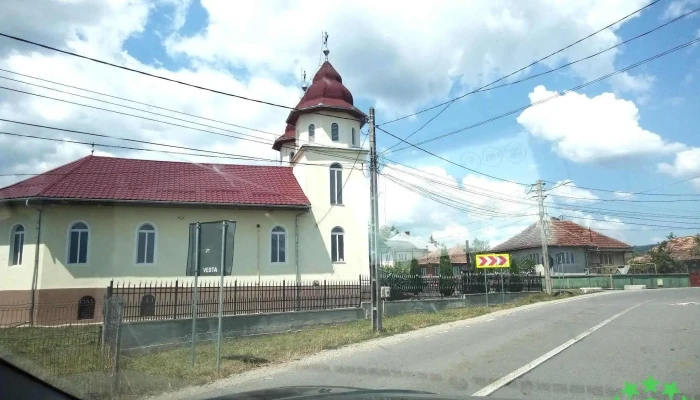 Letca -  Promoție - Letca