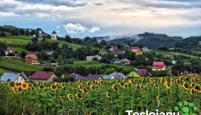 Leucușești - Leucușești