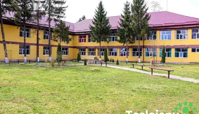 Liceul Tehnologic Bucecea -  De La Proprietar - Bucecea