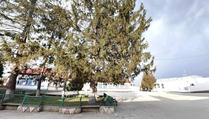Liceul Teoretic Costesti Street View Si 360deg - Costești