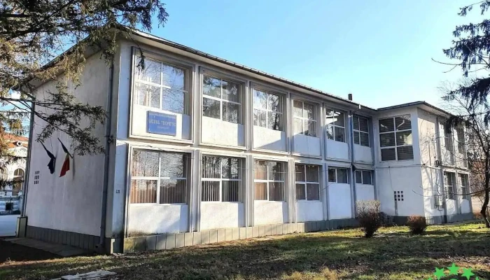 Liceul Teoretic Costești - Costești