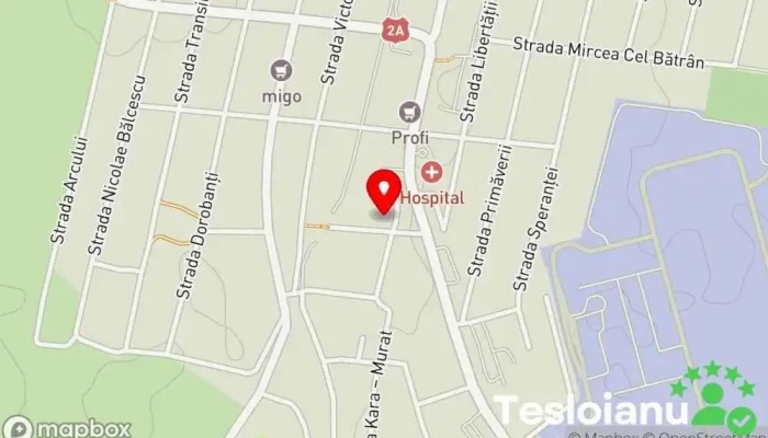 hartă a LICEUL TEORETIC MIHAIL KOGĂLNICEANU Liceu în Mihail Kogălniceanu