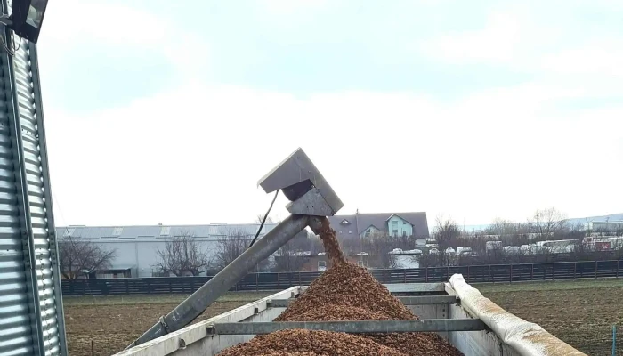 Lidya Walnuts Sa - Mărăcineni