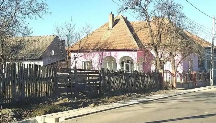 Lisa -  Promoție - Lisa