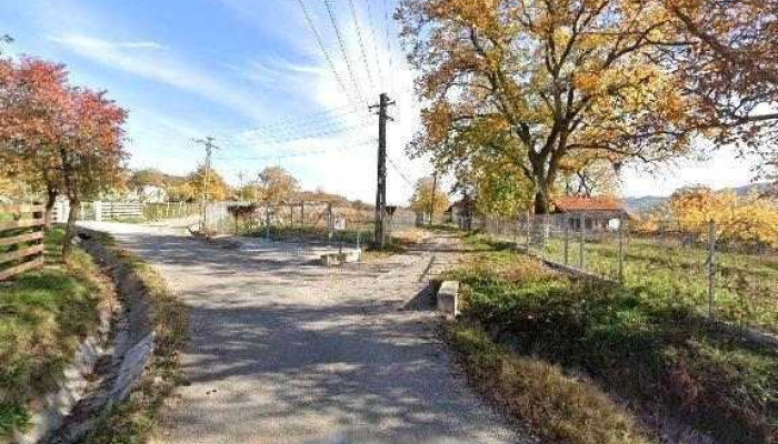 Livada De Zmeura -  Street View Si 360deg - Draghici