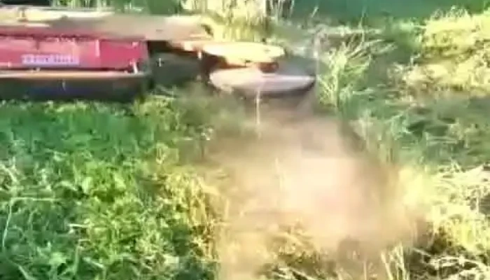 Livada Din Valea Arinilor -  Gradina - Valea Arinilor