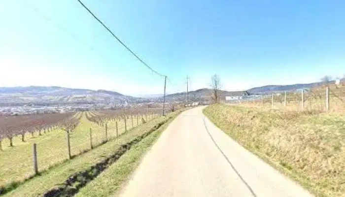 Livada Din Valea Arinilor -  Street View Si 360deg - Valea Arinilor