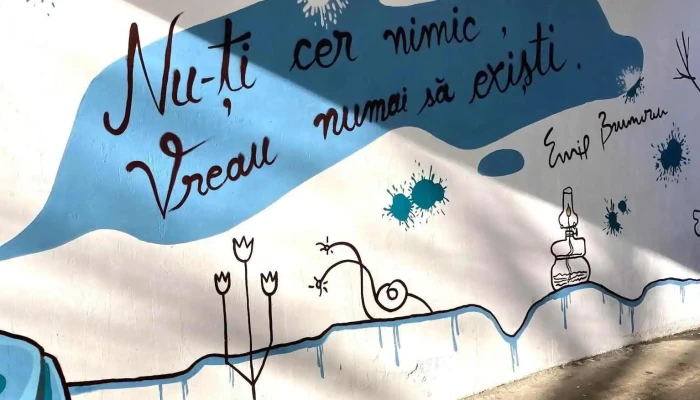 Livkey Deschideri Auto De La Proprietar - Iași