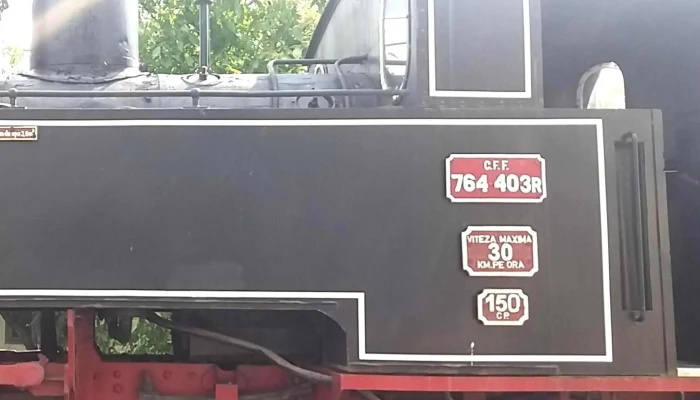 Locomotiva Mocanitei -  Catalog - Vatra Moldoviței