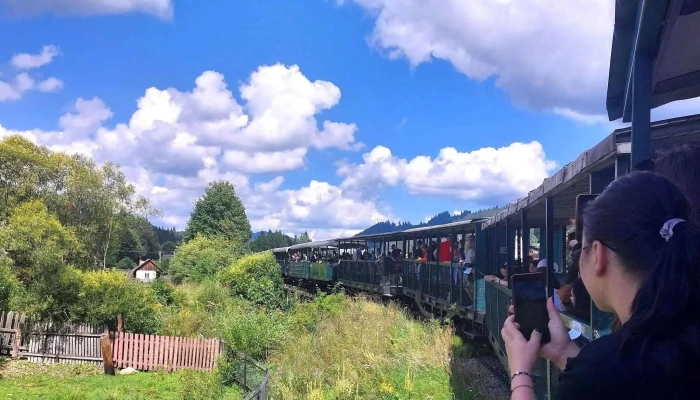Locomotiva Mocanitei -  Telefon - Vatra Moldoviței