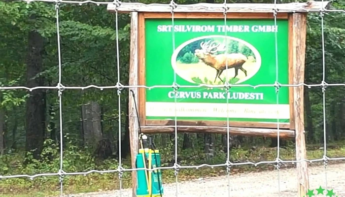 Ludesti Catalog - Ludești