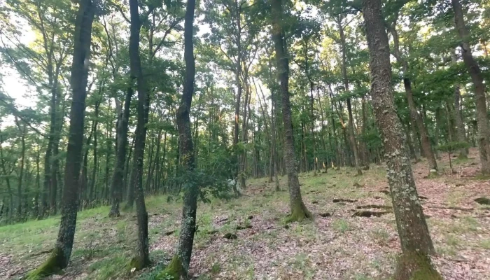 Ludos Street View Si 360deg - Ludoș