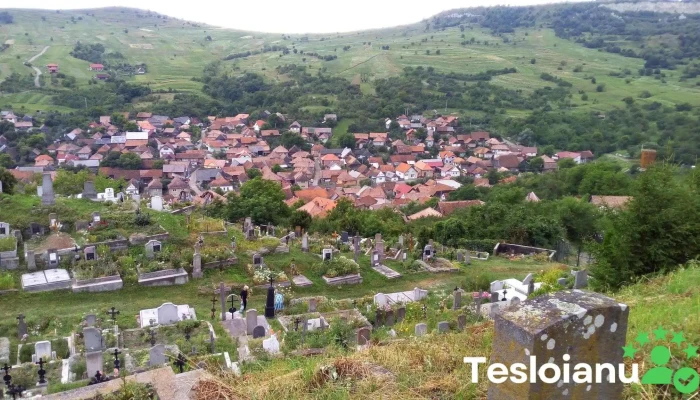Lueta -  Prețuri - Lueta