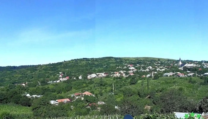 Luizi-Călugăra - Luizi-Călugăra
