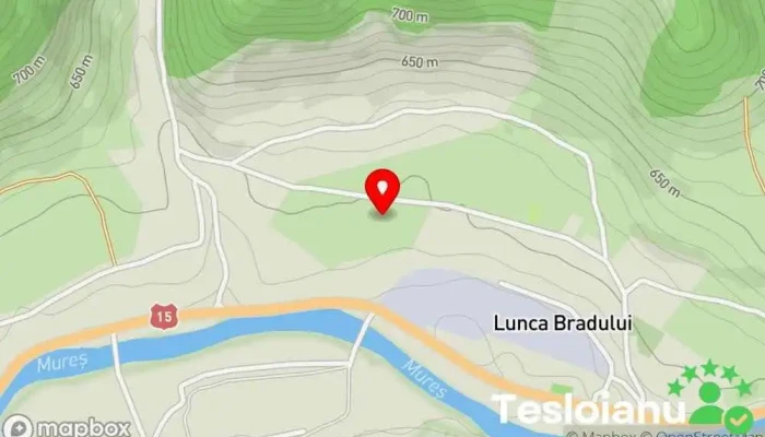 hartă a Lunca Bradului  în Lunca Bradului
