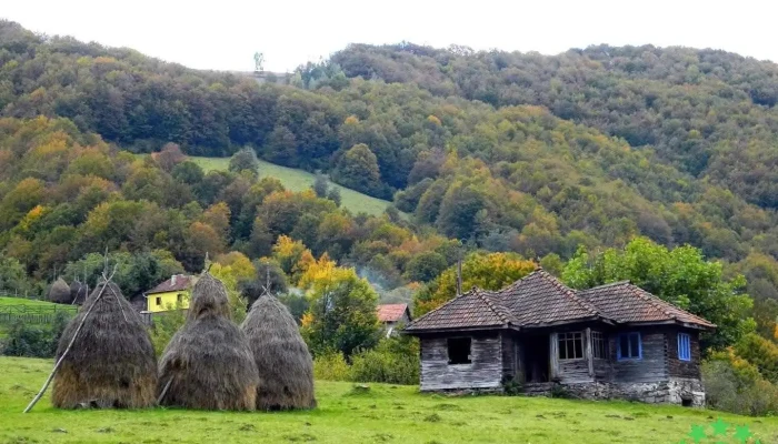 Lunca Cernii De Jos - Lunca Cernii De Jos