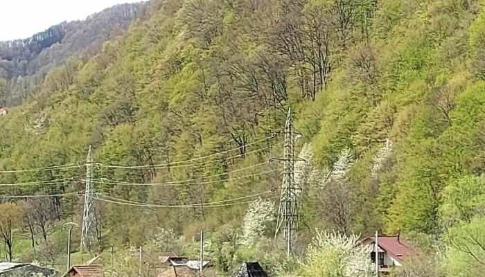 Lunca Jaristei Prețuri - Lunca Jariștei