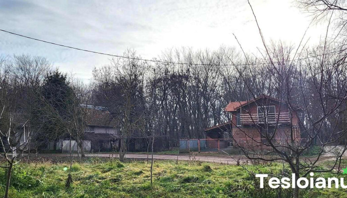 Lunca Mureșului - Lunca Mureșului