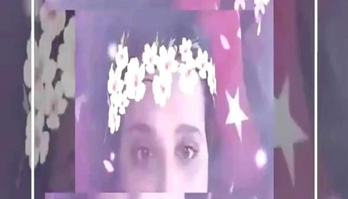 Lunguletu Videoclipuri - Lungulețu