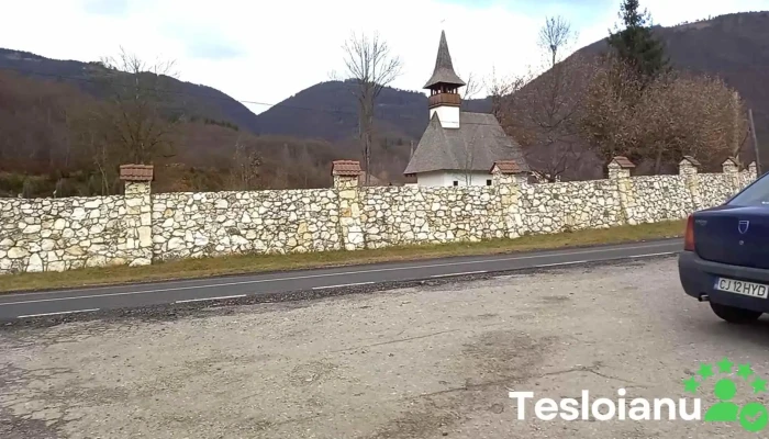 Lupsa Videoclipuri - Lupșa