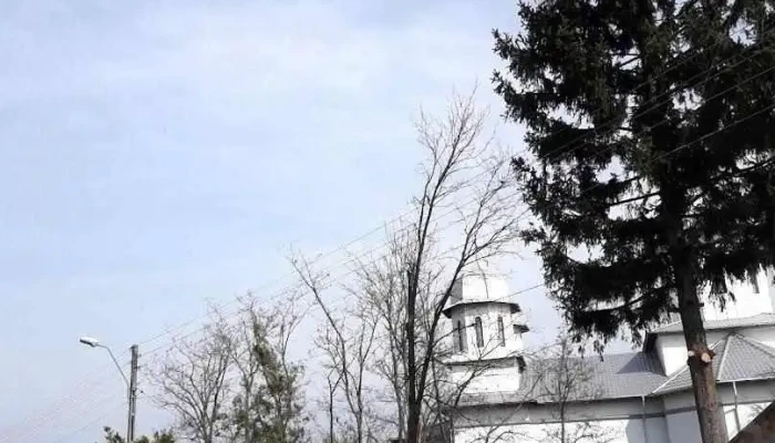 Lupșanu - Lupșanu