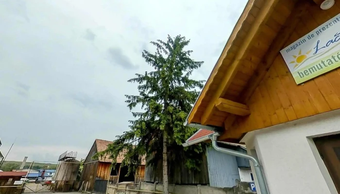 Magazin De Lactate -  Street View Si 360deg - Odorheiu Secuiesc