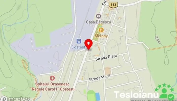 hartă a Magazin Romancuta Costesti  în Costești