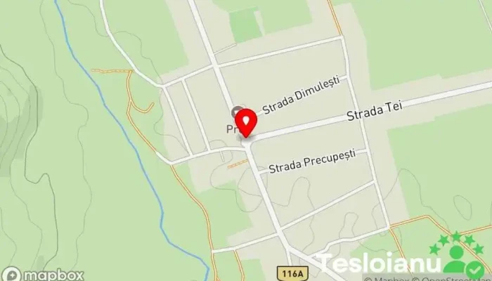 hartă a Măgureni  în Măgureni